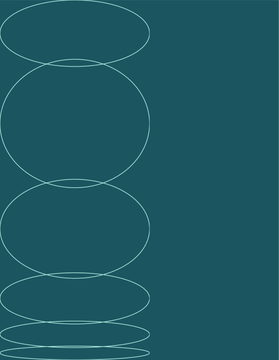 Robeco elastic circles